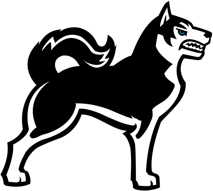 Northeastern Huskies 2001-2006 Alternate Logo t shirts DIY iron ons v3